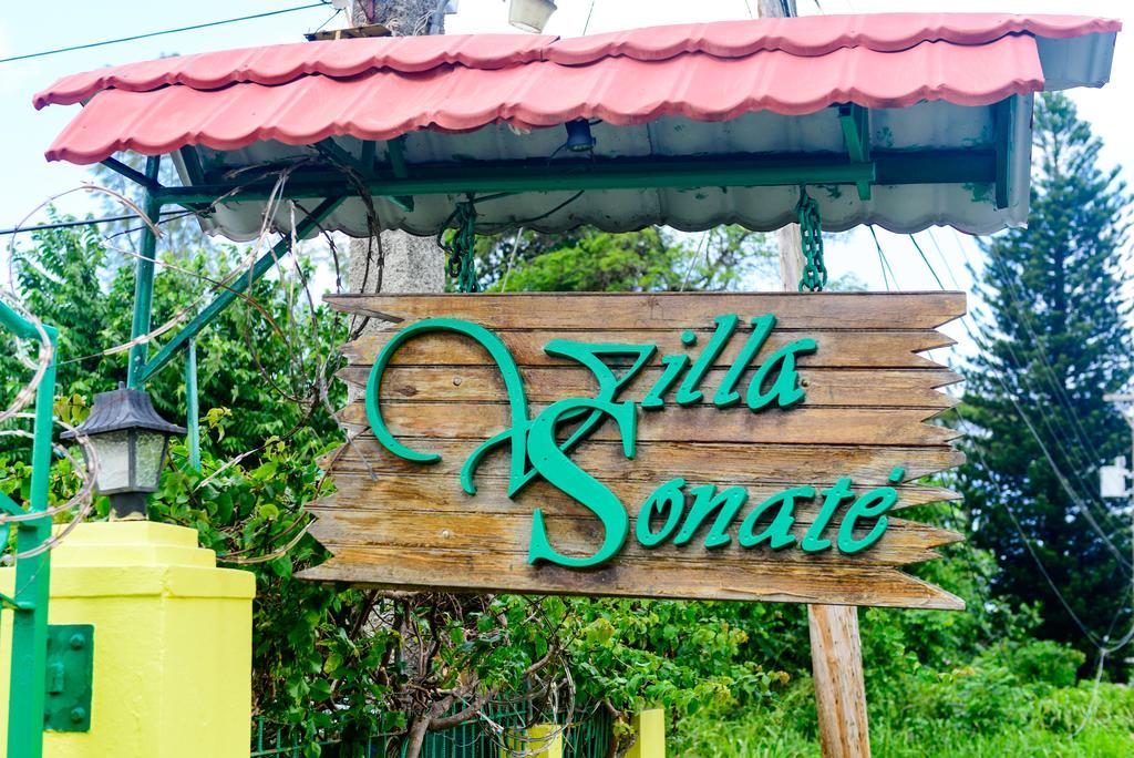 Villa Sonate ランアウェイ・ベイ エクステリア 写真